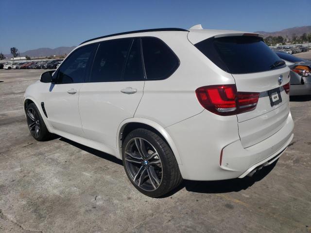 Photo 1 VIN: 5YMKT6C53G0R78925 - BMW X5 M 