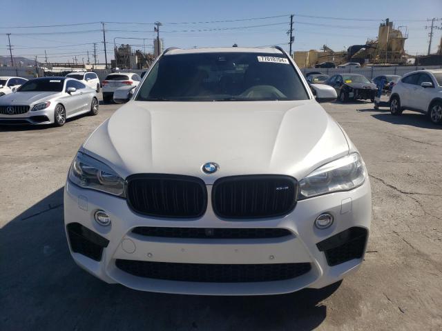 Photo 4 VIN: 5YMKT6C53G0R78925 - BMW X5 M 