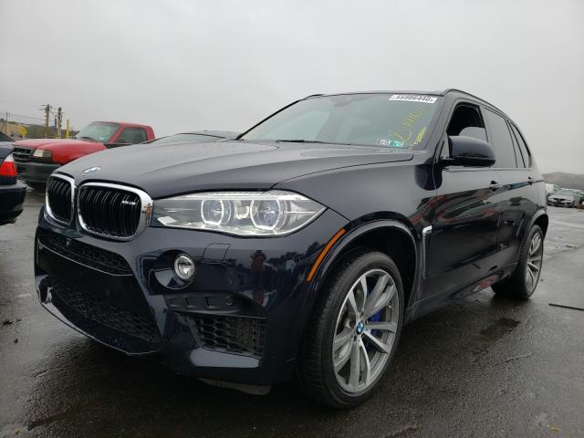 Photo 1 VIN: 5YMKT6C54G0R77623 - BMW X5 M 