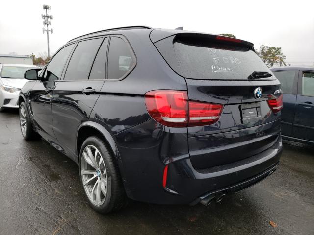 Photo 2 VIN: 5YMKT6C54G0R77623 - BMW X5 M 