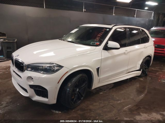 Photo 1 VIN: 5YMKT6C54J0Y83796 - BMW X5 M 