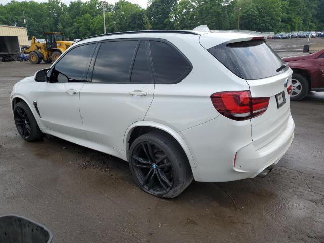 Photo 1 VIN: 5YMKT6C54J0Y83989 - BMW X5 M 