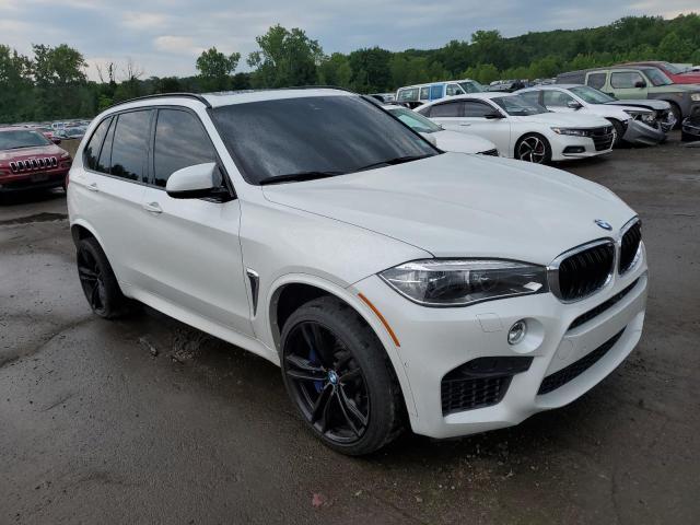 Photo 3 VIN: 5YMKT6C54J0Y83989 - BMW X5 M 