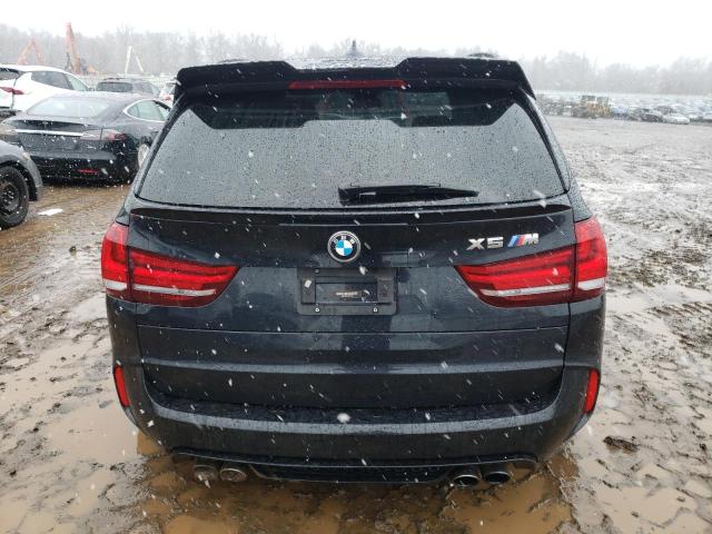 Photo 5 VIN: 5YMKT6C55F0C89289 - BMW X5 M 