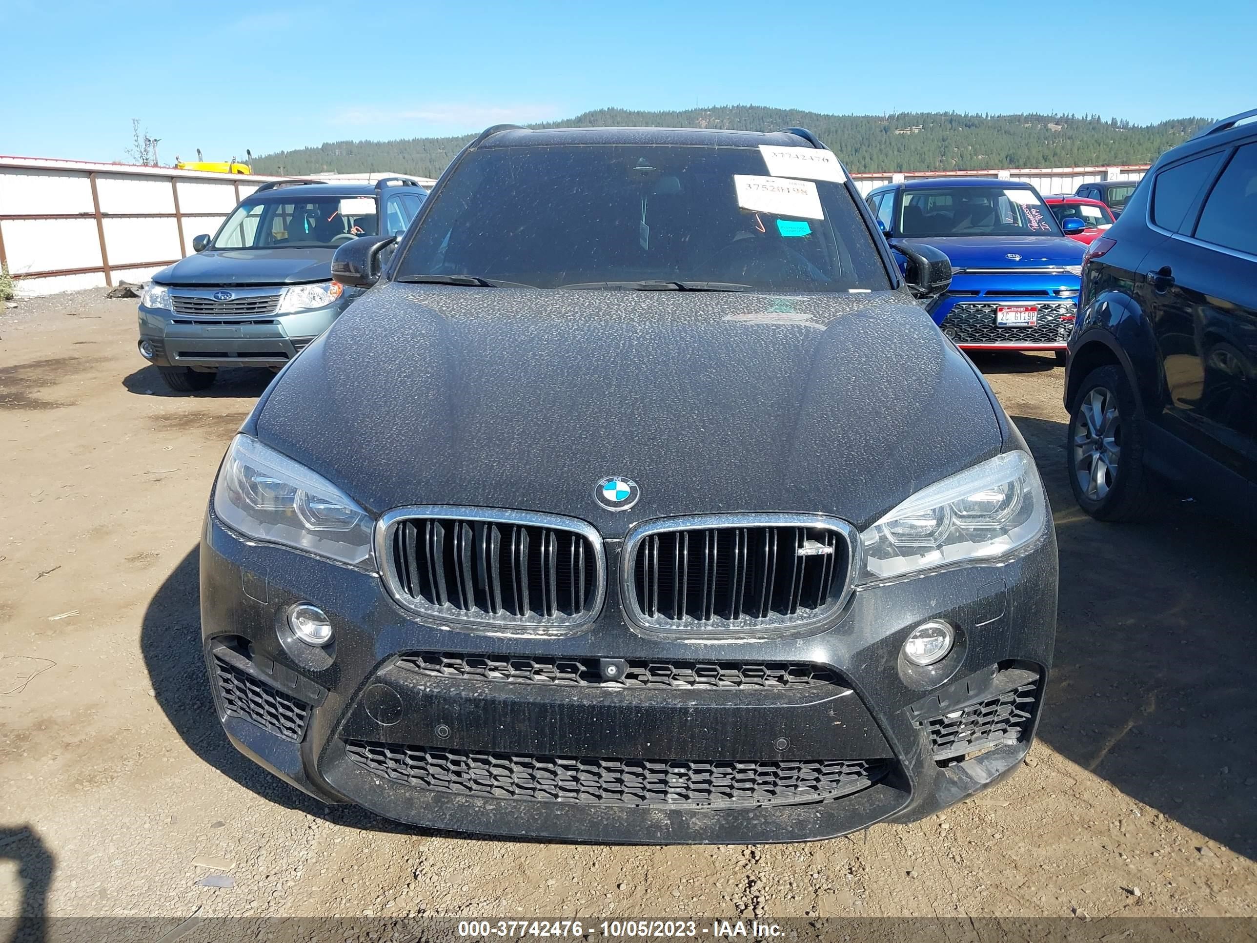 Photo 11 VIN: 5YMKT6C55F0C89549 - BMW X5 M 