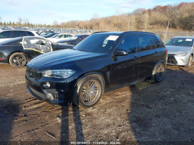 Photo 1 VIN: 5YMKT6C55G0R78201 - BMW X5 M 