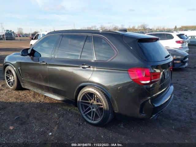 Photo 2 VIN: 5YMKT6C55G0R78201 - BMW X5 M 