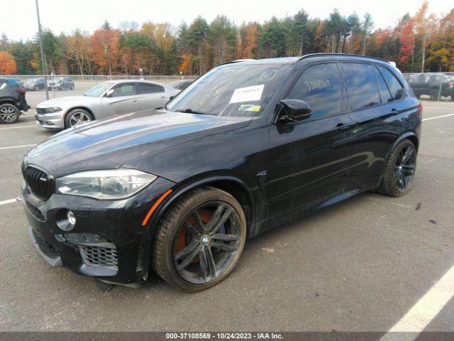 Photo 1 VIN: 5YMKT6C55G0R78294 - BMW X5 M 