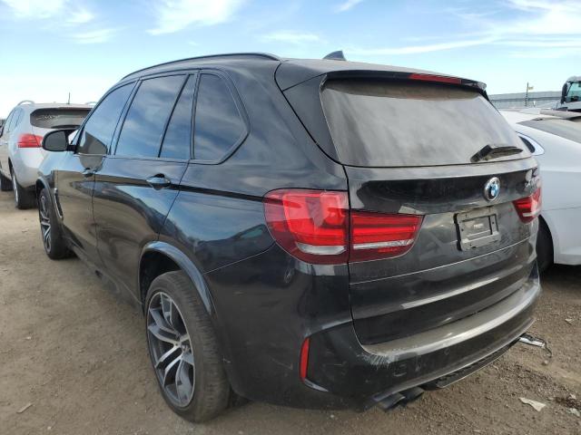 Photo 2 VIN: 5YMKT6C55G0R78571 - BMW X5 M 