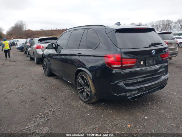 Photo 2 VIN: 5YMKT6C55G0R78831 - BMW X5 M 