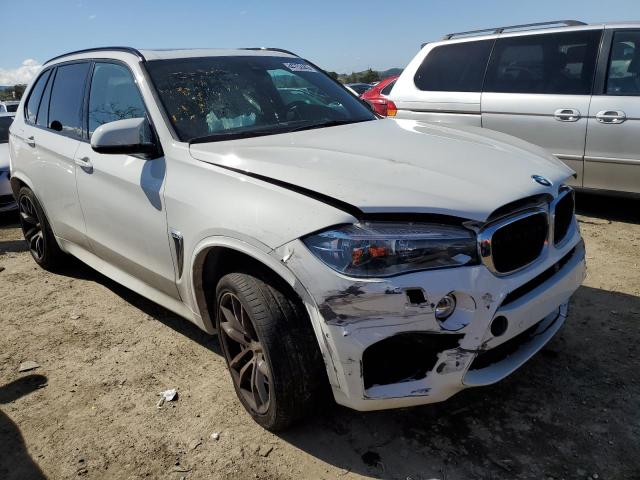 Photo 3 VIN: 5YMKT6C55J0Y84262 - BMW X5 M 