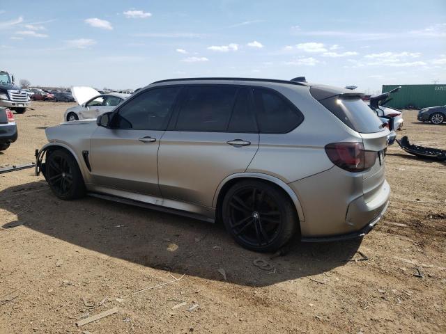 Photo 1 VIN: 5YMKT6C56J0X21295 - BMW X5 M 