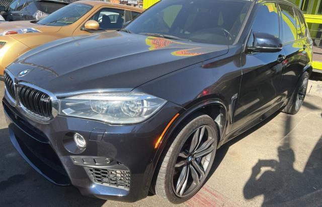 Photo 1 VIN: 5YMKT6C56J0Y83377 - BMW X5 M 