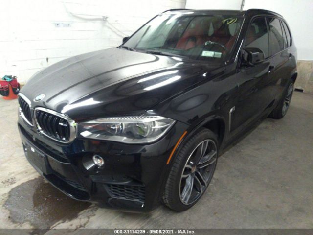 Photo 1 VIN: 5YMKT6C57F0C89391 - BMW X5 M 