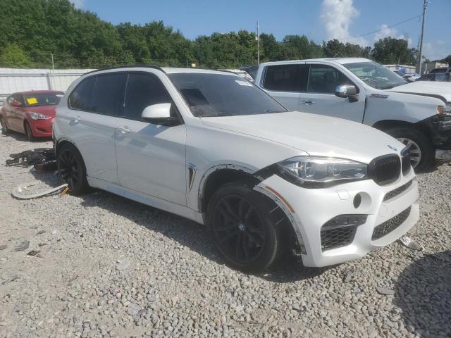 Photo 3 VIN: 5YMKT6C57G0R77972 - BMW X5 M 