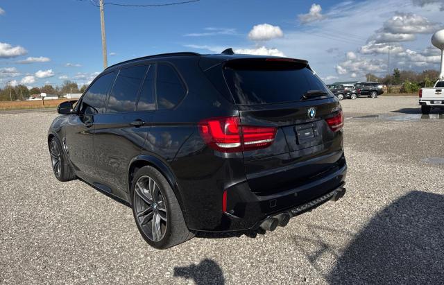 Photo 2 VIN: 5YMKT6C57G0R78488 - BMW X5 M 