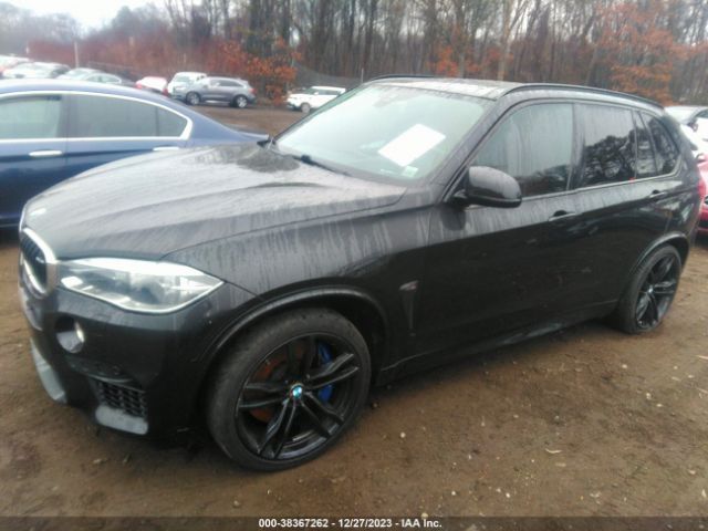 Photo 1 VIN: 5YMKT6C57G0R78524 - BMW X5 M 