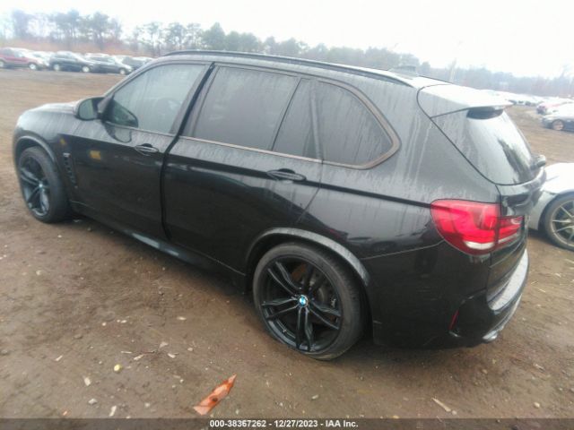 Photo 2 VIN: 5YMKT6C57G0R78524 - BMW X5 M 