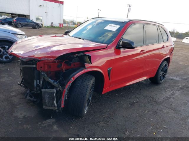 Photo 1 VIN: 5YMKT6C57G0R78667 - BMW X5 M 