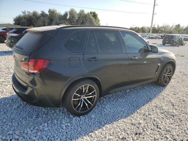 Photo 2 VIN: 5YMKT6C58G0R78077 - BMW X5 M 