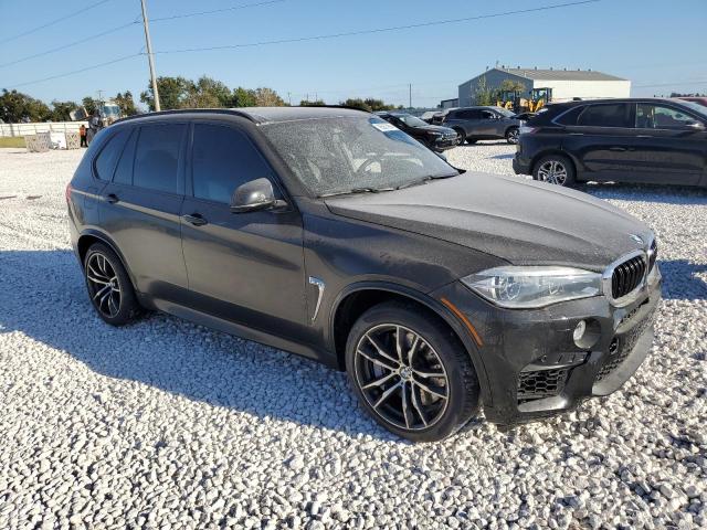 Photo 3 VIN: 5YMKT6C58G0R78077 - BMW X5 M 