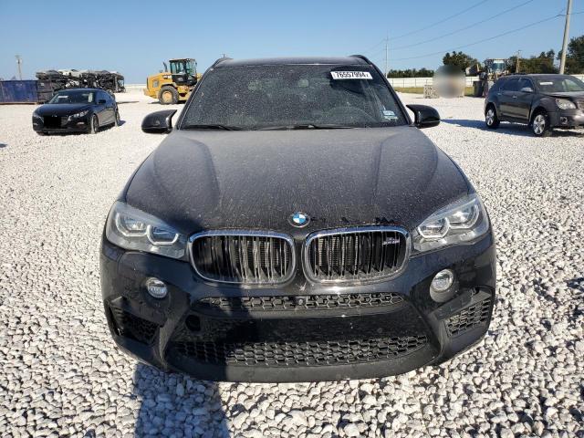 Photo 4 VIN: 5YMKT6C58G0R78077 - BMW X5 M 