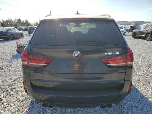 Photo 5 VIN: 5YMKT6C58G0R78077 - BMW X5 M 