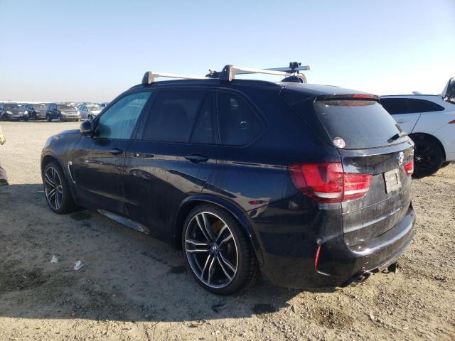 Photo 1 VIN: 5YMKT6C58G0R78743 - BMW X5 M 