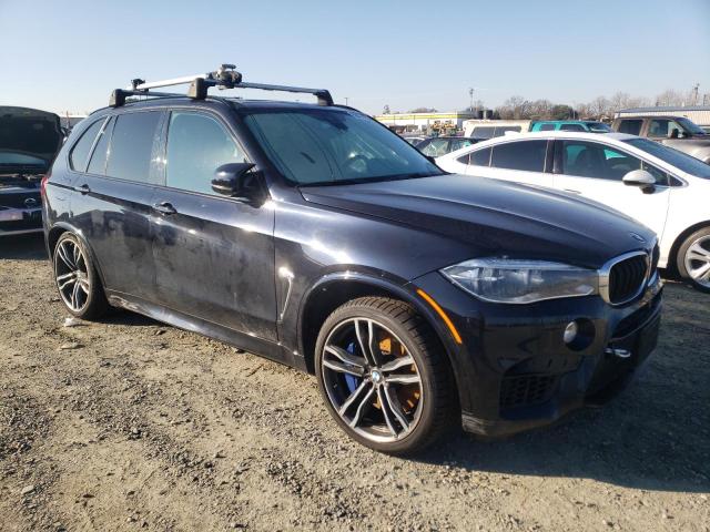 Photo 3 VIN: 5YMKT6C58G0R78743 - BMW X5 M 