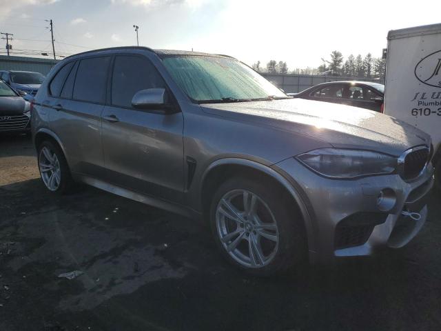 Photo 3 VIN: 5YMKT6C58G0R79228 - BMW X5 M 