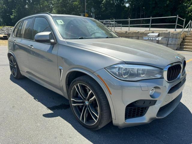 Photo 3 VIN: 5YMKT6C59G0C89751 - BMW X5 