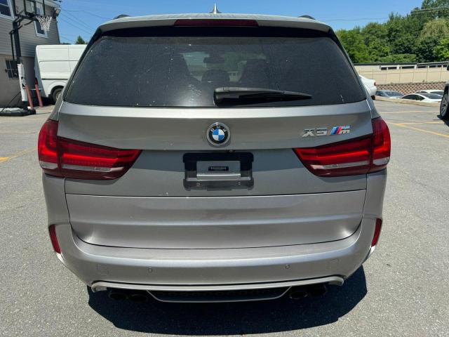 Photo 5 VIN: 5YMKT6C59G0C89751 - BMW X5 