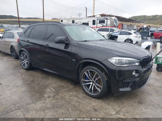 Photo 0 VIN: 5YMKT6C59G0R78038 - BMW X5 M 