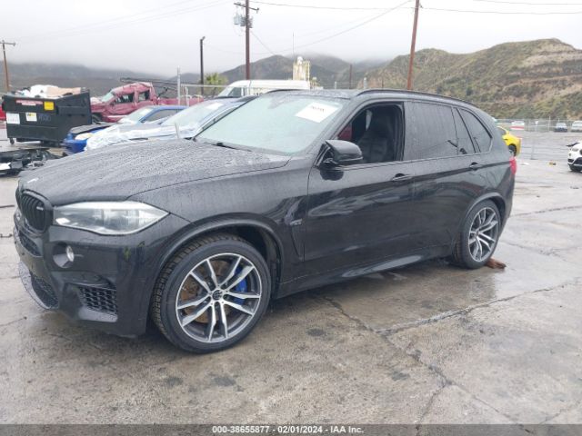 Photo 1 VIN: 5YMKT6C59G0R78038 - BMW X5 M 