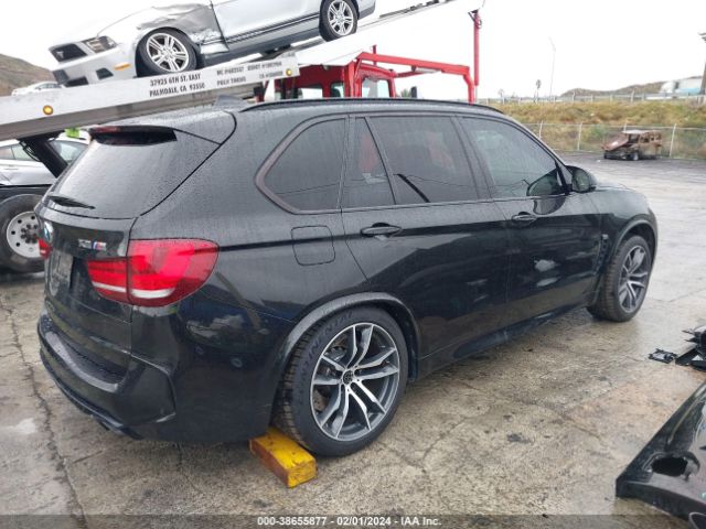 Photo 3 VIN: 5YMKT6C59G0R78038 - BMW X5 M 