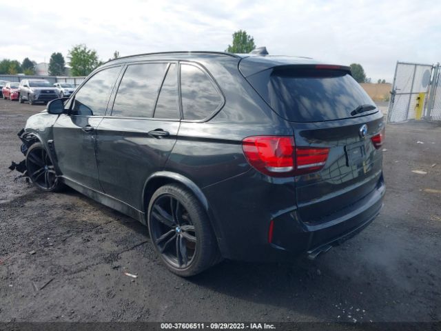 Photo 2 VIN: 5YMKT6C59H0U38786 - BMW X5 M 