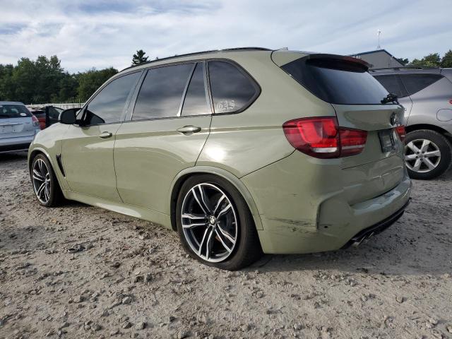 Photo 1 VIN: 5YMKT6C5XF0C89028 - BMW X5 M 