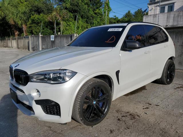 Photo 1 VIN: 5YMKT6C5XG0R77870 - BMW X5 M 