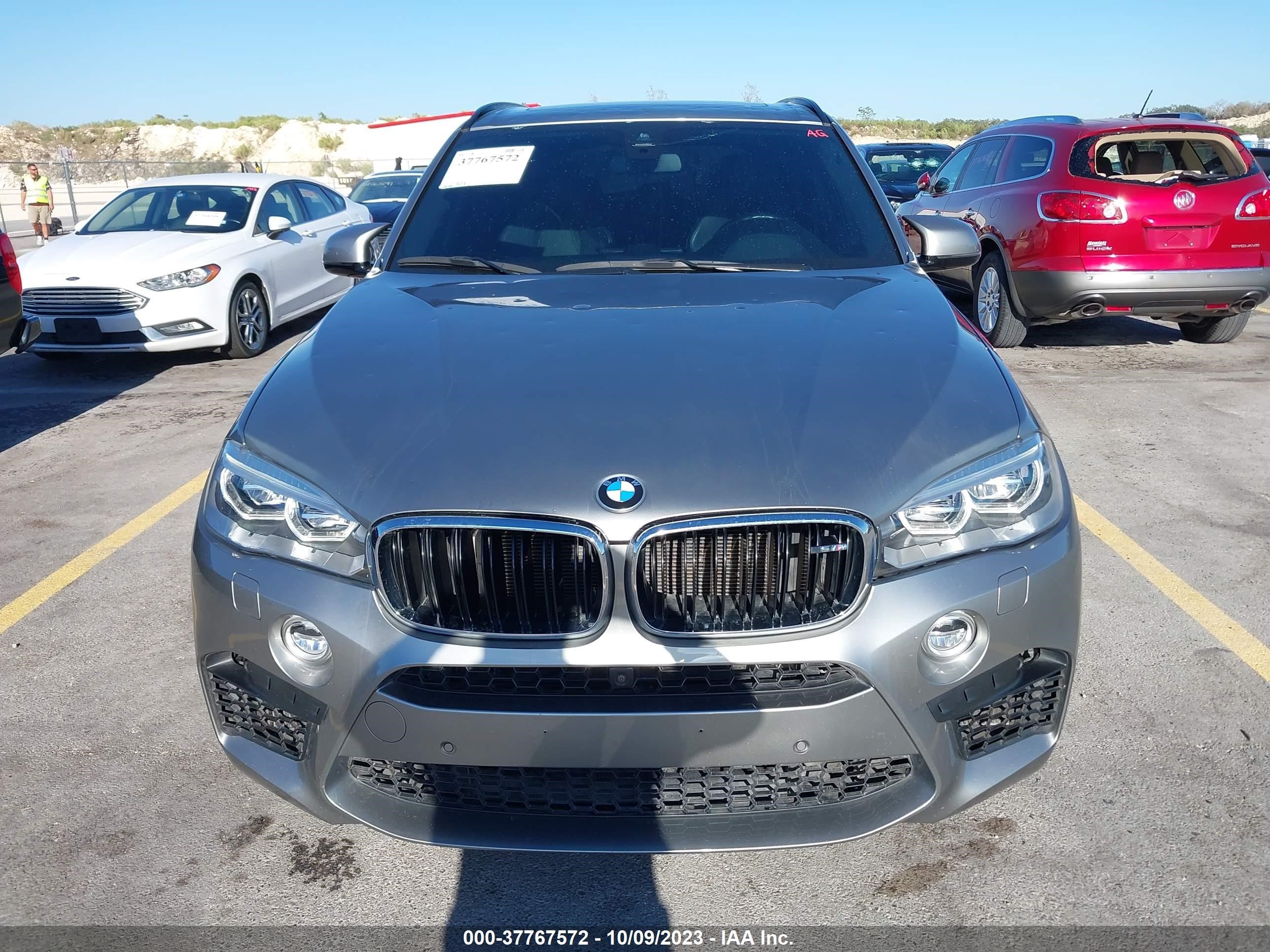 Photo 11 VIN: 5YMKT6C5XG0R78792 - BMW X5 M 