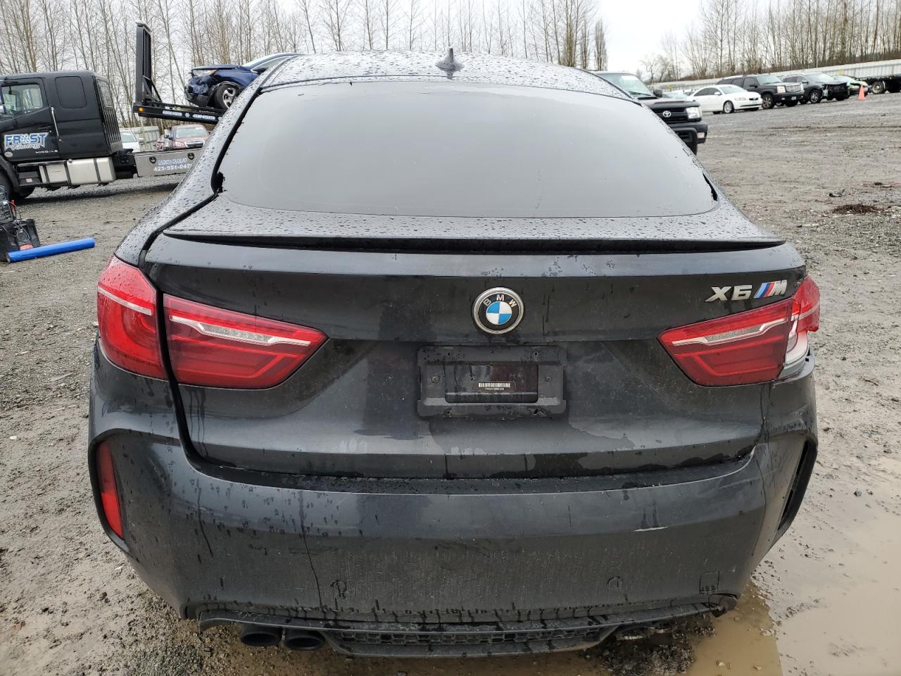 Photo 5 VIN: 5YMKW8C33H0U72286 - BMW X6 