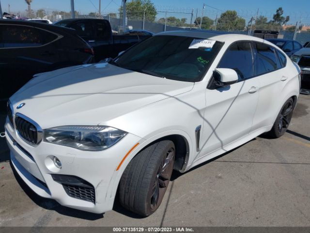 Photo 1 VIN: 5YMKW8C50K0Y74906 - BMW X6 M 