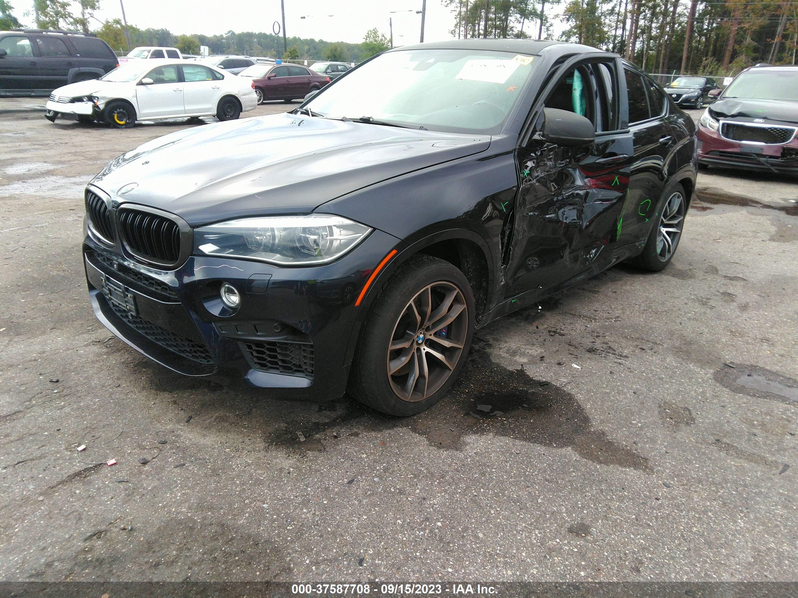 Photo 1 VIN: 5YMKW8C51G0R43691 - BMW X6 M 