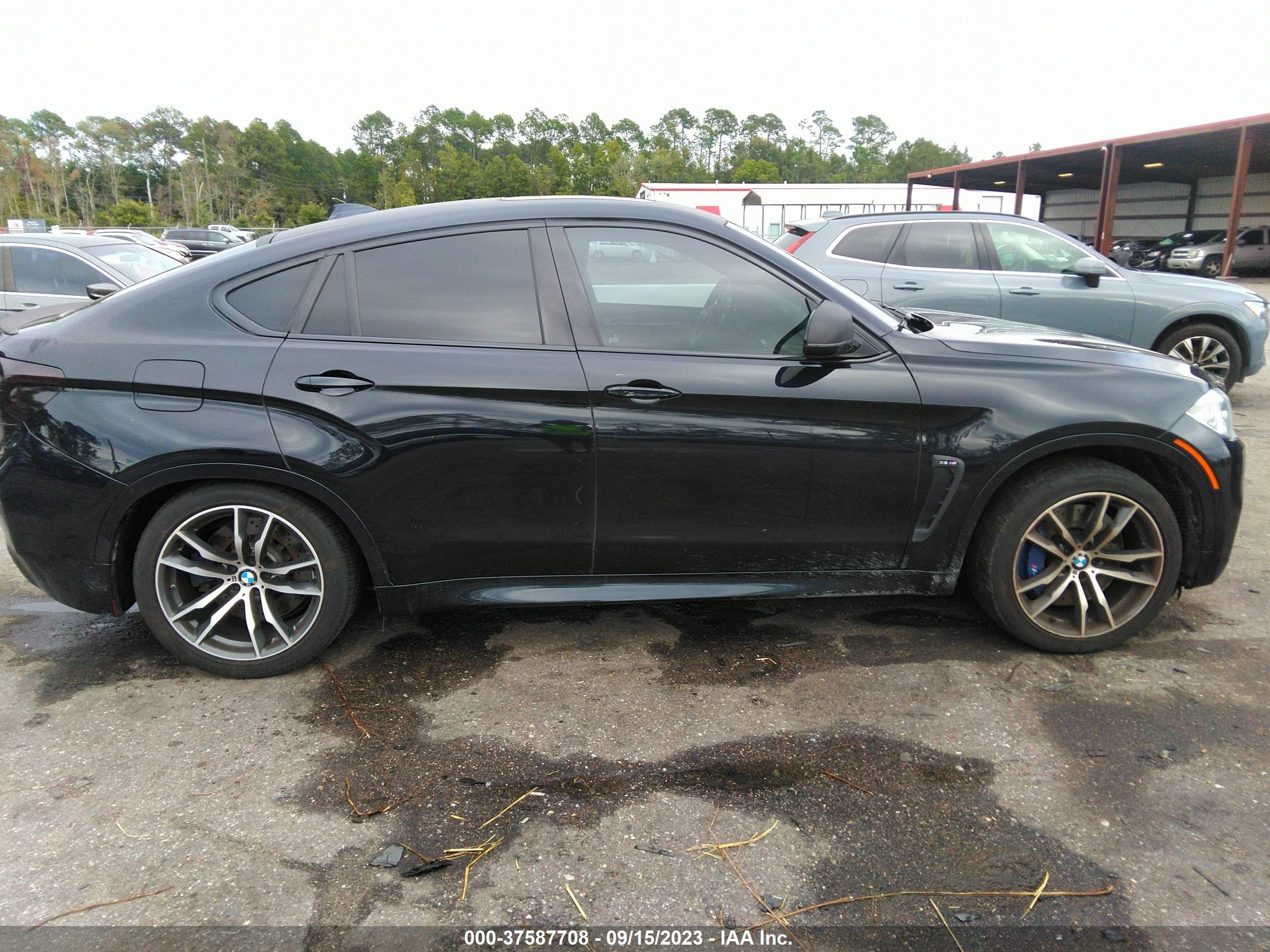 Photo 13 VIN: 5YMKW8C51G0R43691 - BMW X6 M 