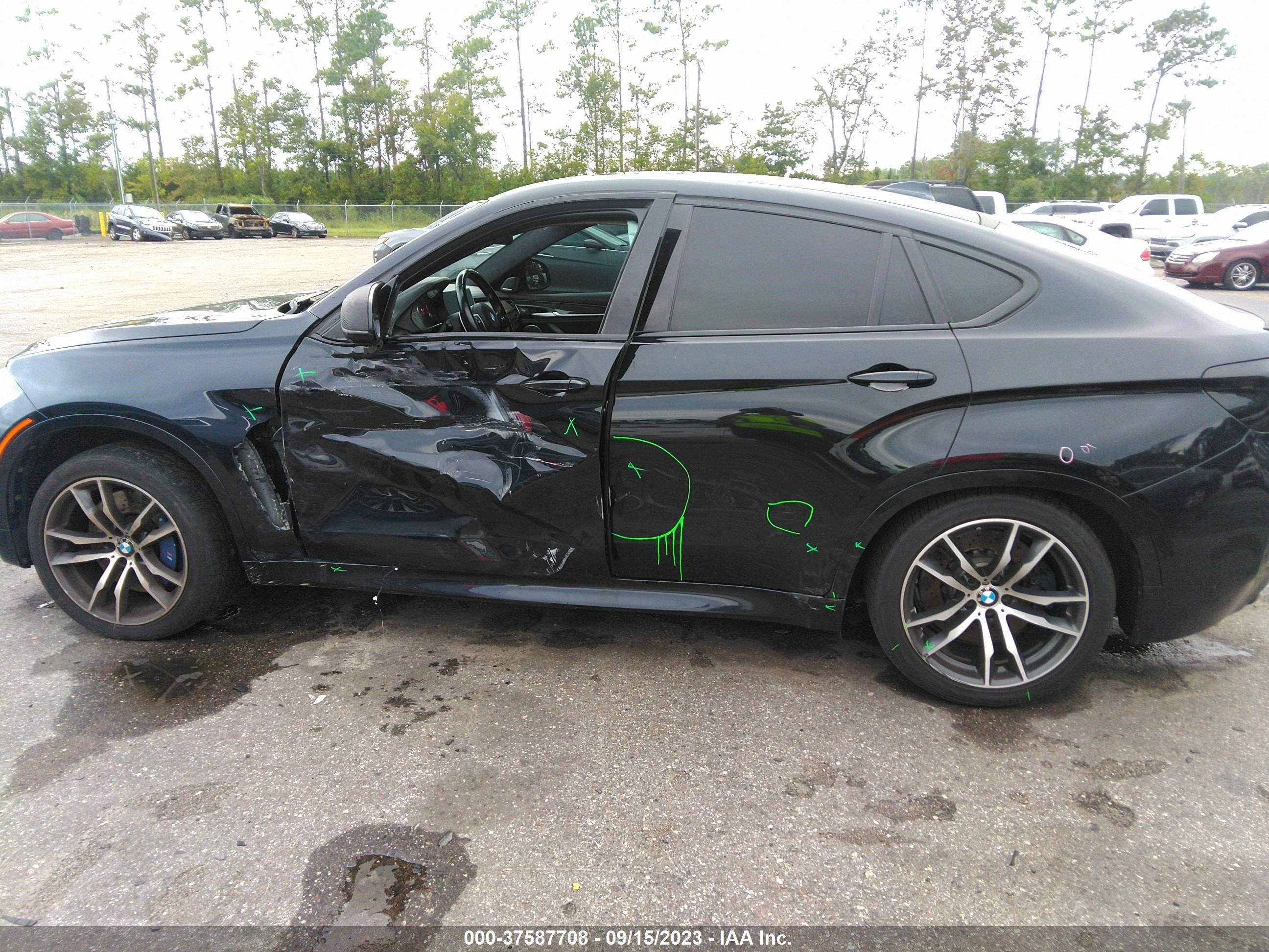 Photo 14 VIN: 5YMKW8C51G0R43691 - BMW X6 M 