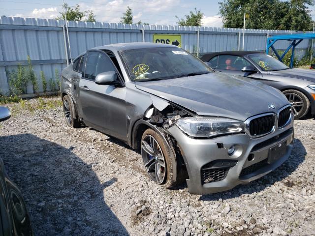 Photo 0 VIN: 5YMKW8C51J0Y74461 - BMW X6 M 