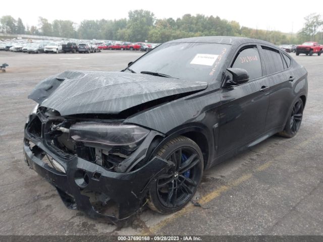 Photo 1 VIN: 5YMKW8C52F0G93816 - BMW X6 M 