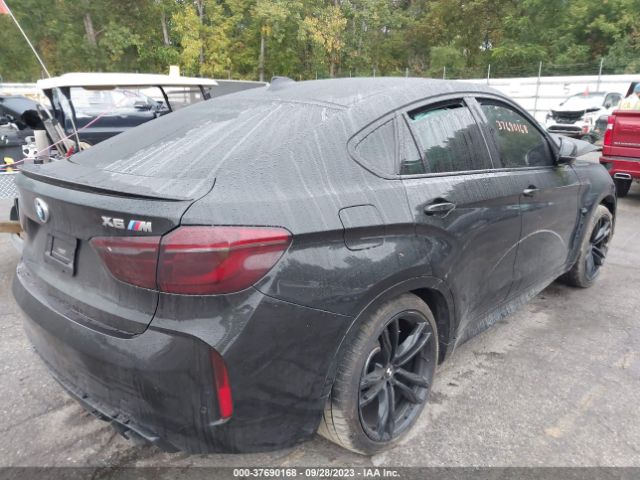 Photo 3 VIN: 5YMKW8C52F0G93816 - BMW X6 M 