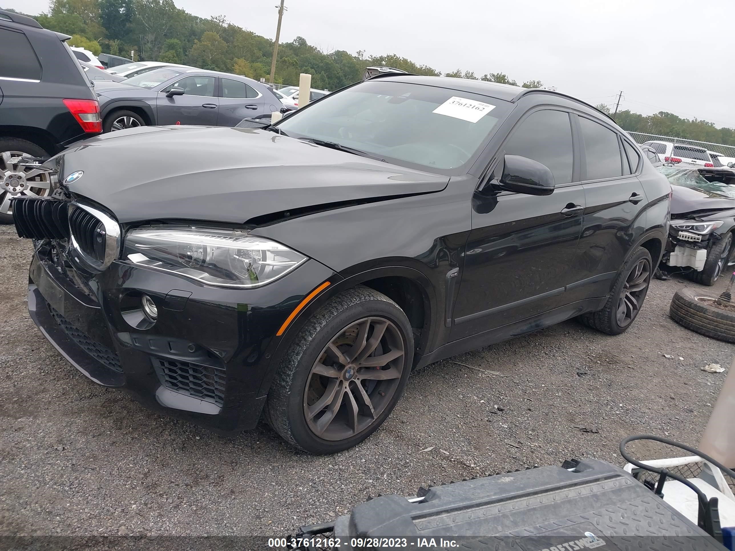 Photo 1 VIN: 5YMKW8C53F0G93629 - BMW X6 M 