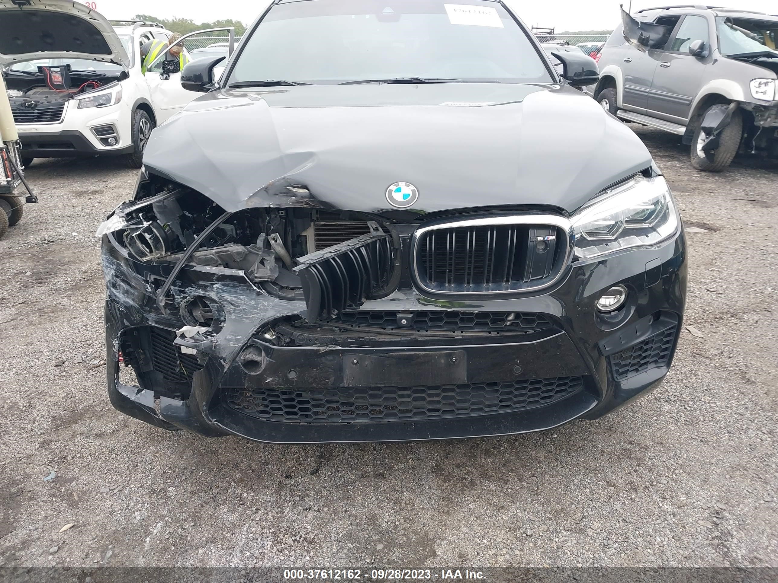 Photo 11 VIN: 5YMKW8C53F0G93629 - BMW X6 M 