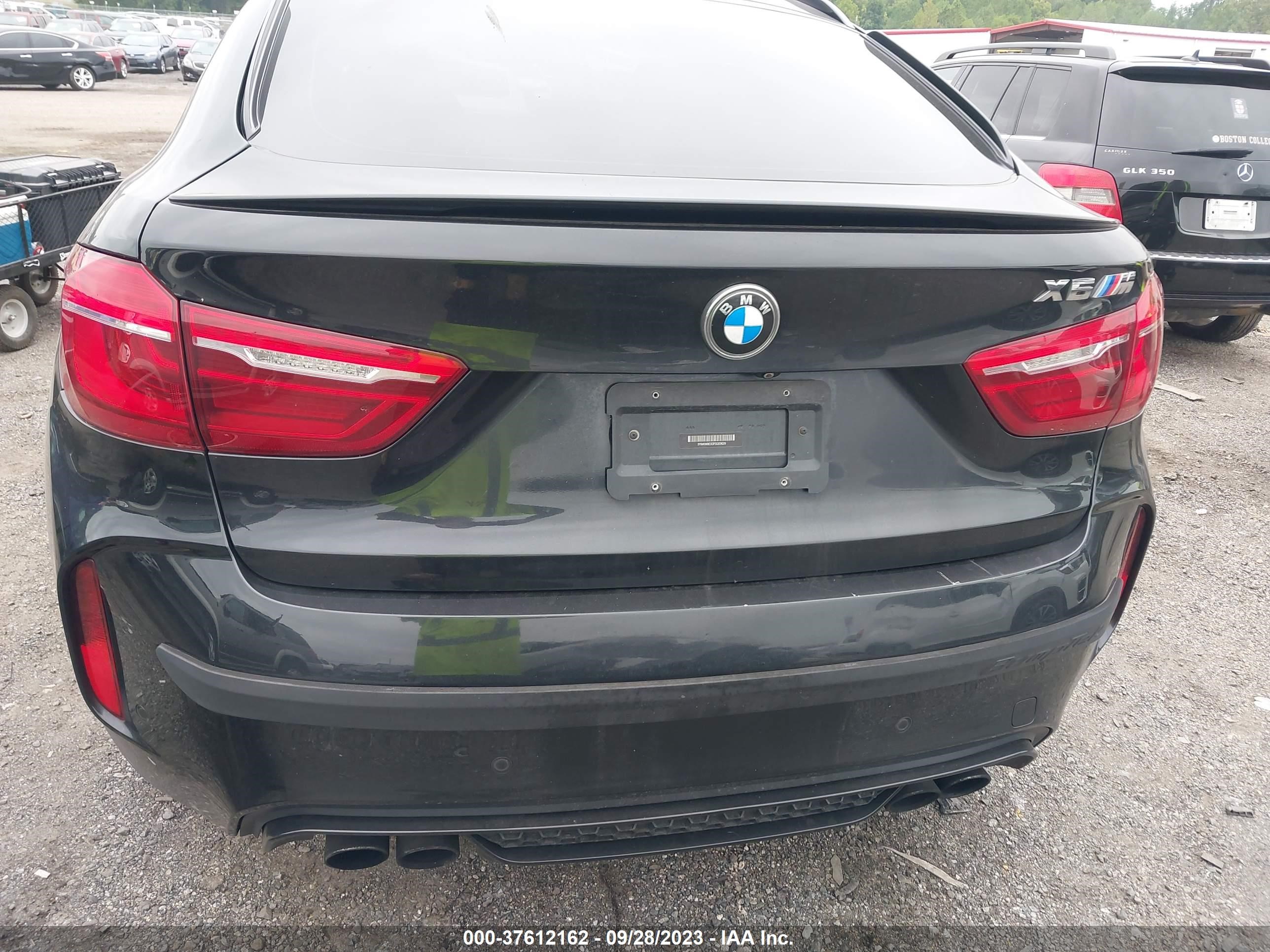 Photo 15 VIN: 5YMKW8C53F0G93629 - BMW X6 M 